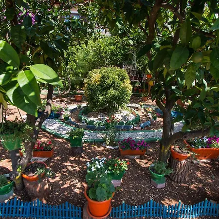 With Parking Space - Peljesac - 4579 * Orebić