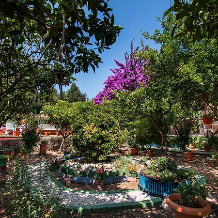 With Parking Space - Peljesac - 4579 *